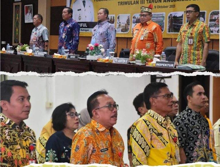 WhatsApp Image 2025-10-11 at 12.38.36