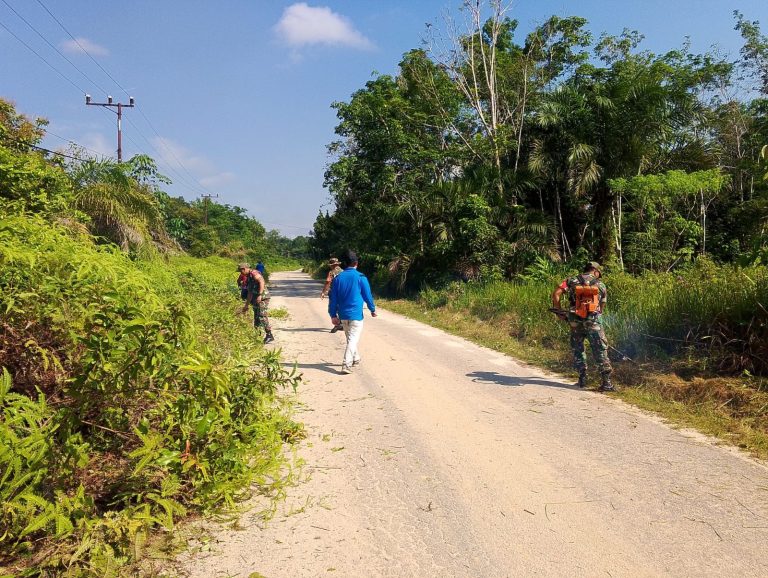 WhatsApp Image 2025-10-11 at 15.31.19