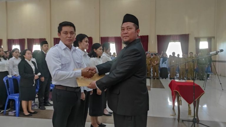 WhatsApp Image 2025-10-13 at 15.09.10(2)