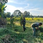 WhatsApp Image 2025-10-15 at 16.18.37