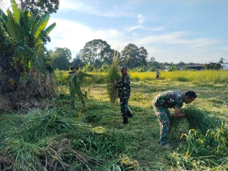 WhatsApp Image 2025-10-15 at 16.18.37