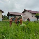 WhatsApp Image 2025-10-15 at 16.18.37(1)