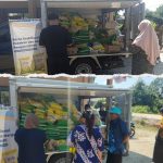 WhatsApp Image 2025-10-17 at 14.29.58