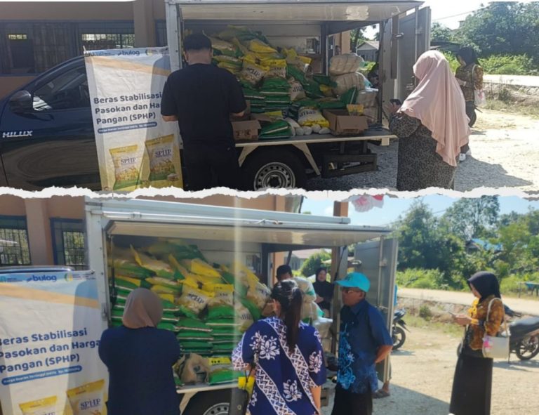 WhatsApp Image 2025-10-17 at 14.29.58