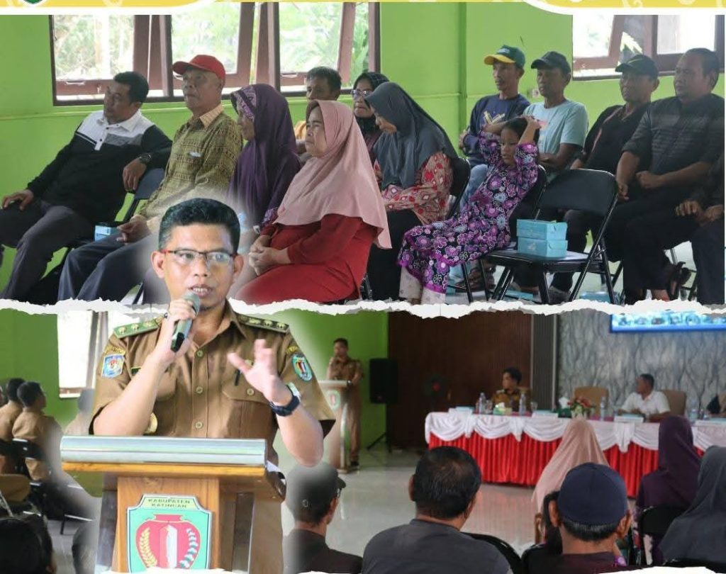 WhatsApp Image 2025-10-22 at 11.56.42