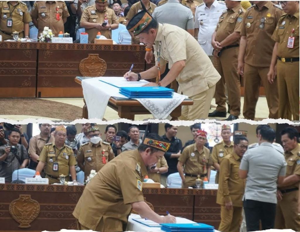 WhatsApp Image 2025-10-22 at 14.14.45